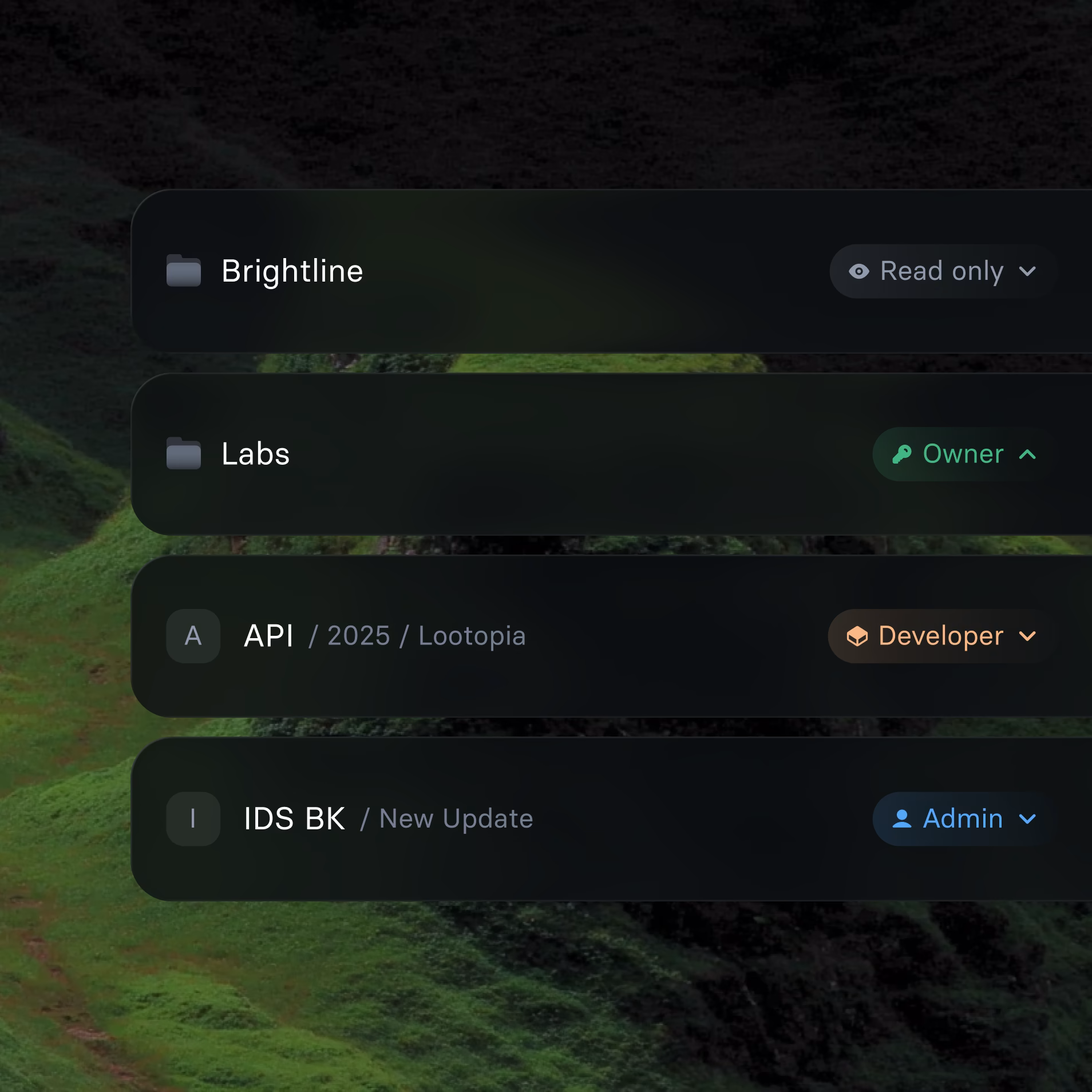 Unraven workspace roles including read-only, owner, developer and admin