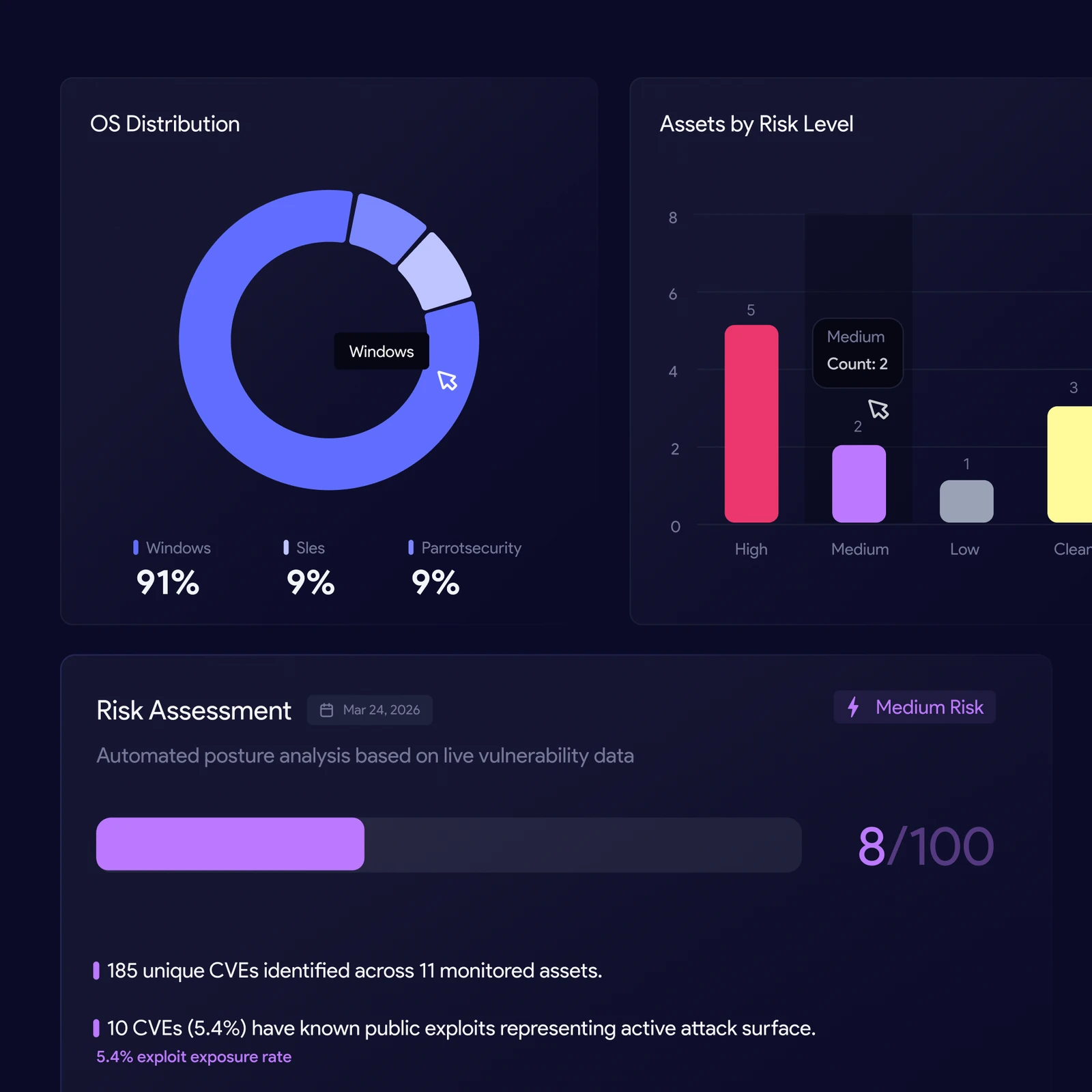 Asset distribution and risk assessment based on vulnerability data